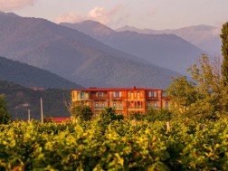 ბურკის ციხე-მარანი