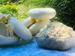 ყველი და ხაჭო