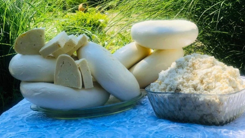 ყველი და ხაჭო