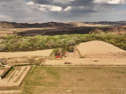 იორლენდი