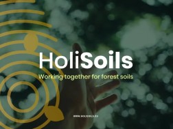 holisolis