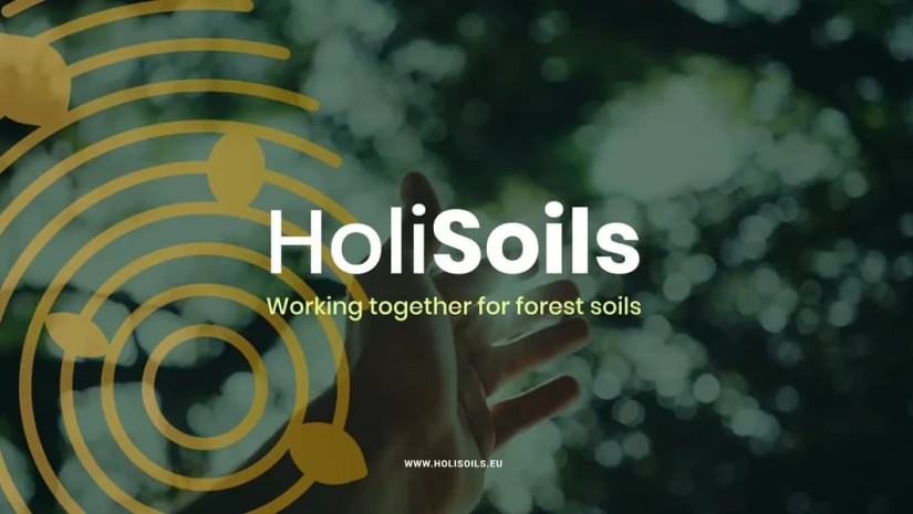 holisolis