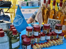 სვანური ფარდული