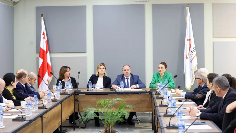 გივი მიქანაძის ხელმძღვანელობით, კოლეჯების დირექტორთა  საბჭოს მორიგი  სხდომა გაიმართა