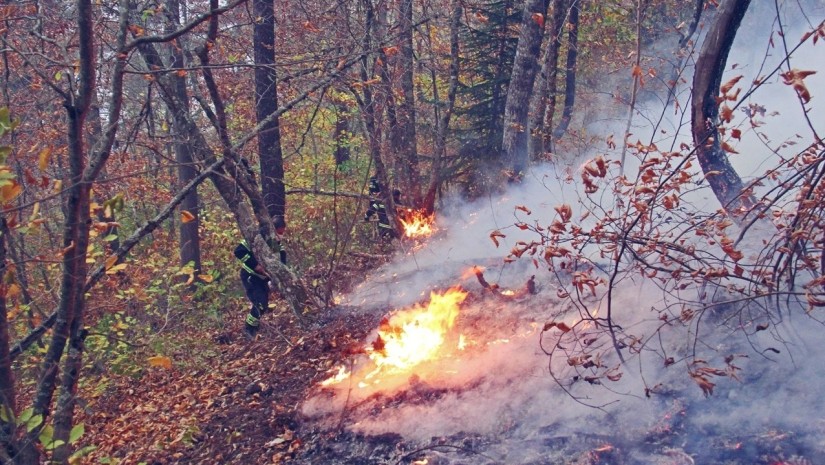ხანძრები