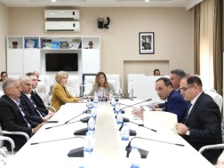 კულტურის კომიტეტი