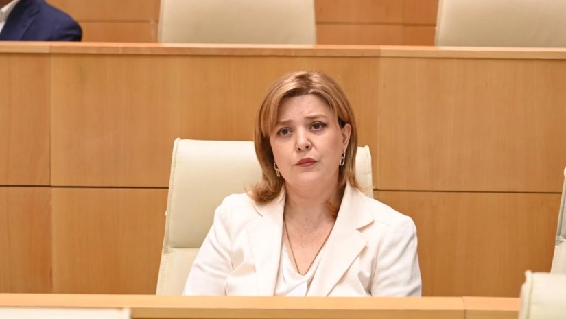 "თქვენს კომფორტულად მოწყობილ ოთახებში ვერ აღწევს დედების პროტესტის ხმა" - ქეთევან ბაკარაძე ჯანდაცვის მინისტრს