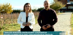 #უძრავიქონებისპროსპექტი კახეთიდან