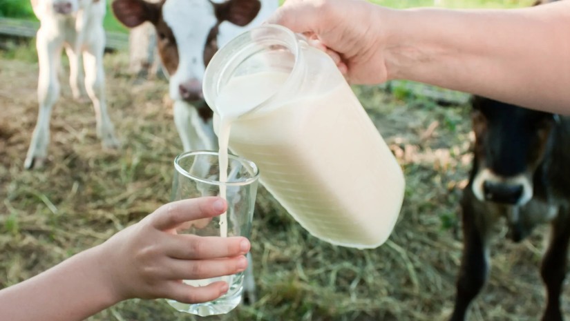 MILK