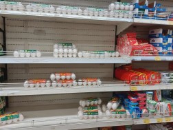 კვერცხი