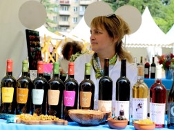 პონგინო ვაინი