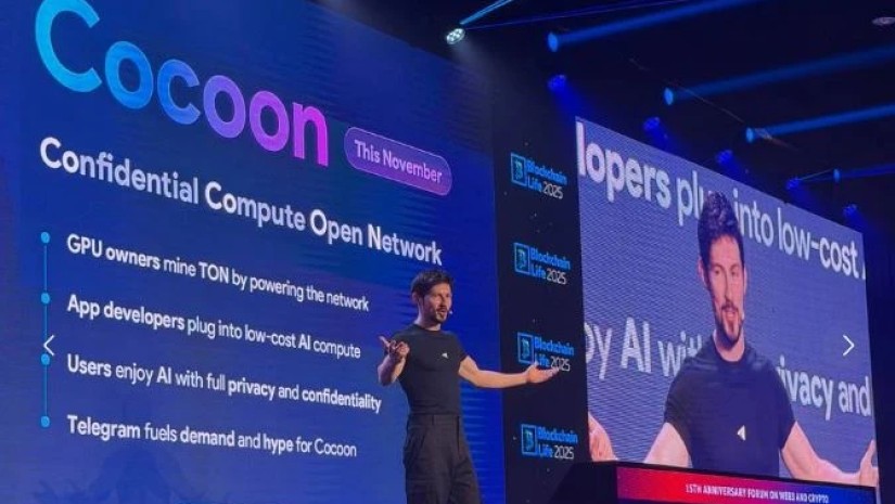 cocoon