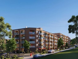 ექ სითი დეველოპმენტი