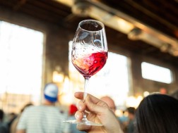 ღვინის პოპულარიზაცია