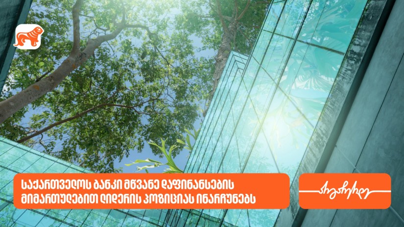 ეროვნული ბანკი: საქართველოს ბანკი მწვანე დაფინანსების მიმართულებით ლიდერის პოზიციას ინარჩუნებს