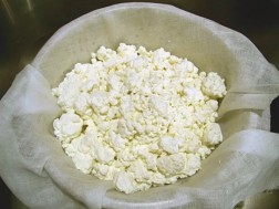 ხაჭო