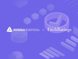 თიბისი დაზღვევა Fitch