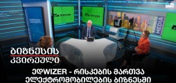 ედwizer - რისკების მართვა ელექტრომობილების ბიზნესში