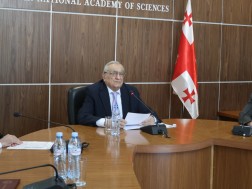 მეცნიერებათა აკადემია როინ მეტრეველი
