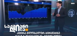 ნიკა მაზანაშვილი