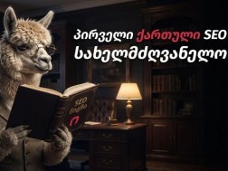 პირველი SEO სახელმძღვანელო ქართულ ენაზე – რას ისწავლით წიგნიდან?