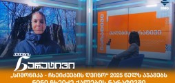 ნინი ჩხეიძე