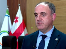 დავით ნარმანია
