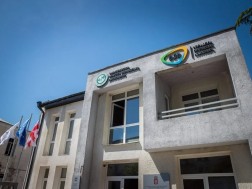 სეს