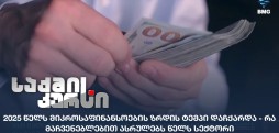 მიკროსაფინანსოების ზრდის ტემპი