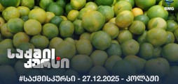 #საქმისკურსი - 27.12.2025 - კოლაჟი
