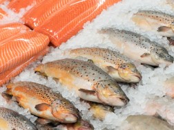 გაყინული თევზი