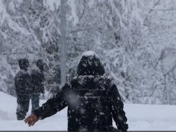 თოვლი