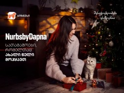 გაიცანით NurbsbyDapna: როგორ იქმნება სათამაშოები, რომელთაც ახალი წელი მოჰყავთ