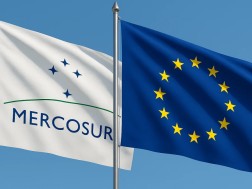 მერკოსური