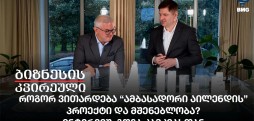 როგორ ვითარდება “ამბასადორი აილენდის” პროექტი და მშენებლობა? - ინტერვიუ გოჩა კამკიასთან