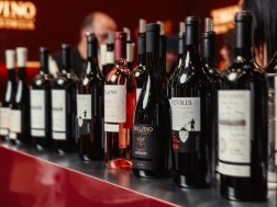 თბილღვინო