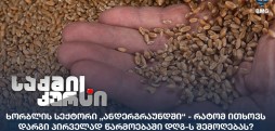 ხორბლის სექტორი