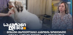 მარიკა ჩხიკვიშვილი