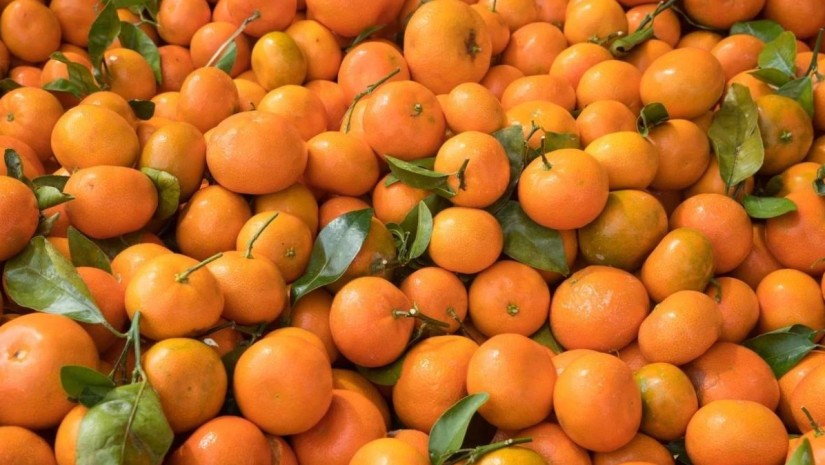 მანდარინი