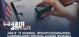 საიმიგრაციო ვიზები