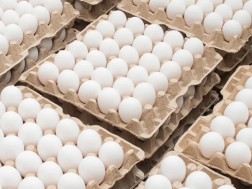 კვერცხი