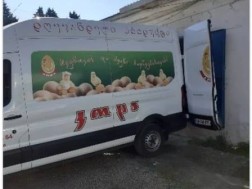 კოდა