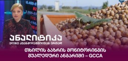 თხილის ბაზრის მონიტორინგი