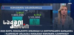 ტურისტული ვიზიტები