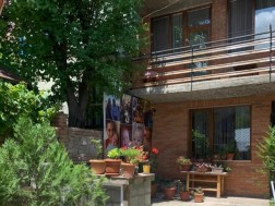 თამარიონი