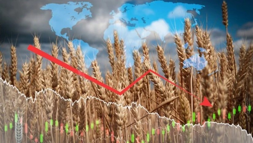 grains