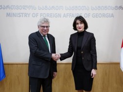 მაკა ბოჭორიშვილი ბრაზილიის ელჩი