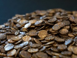 ოქროს მონეტები