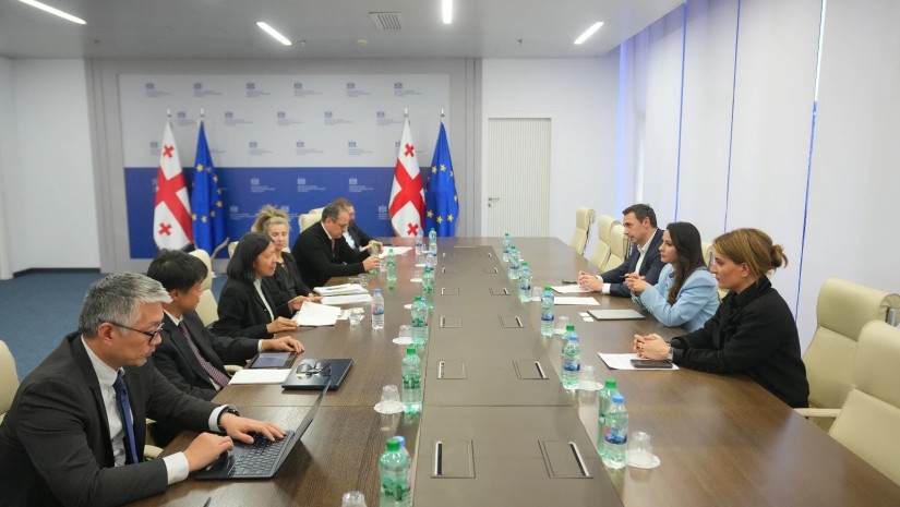 ქვრივიშვილი