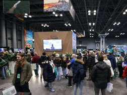 NY